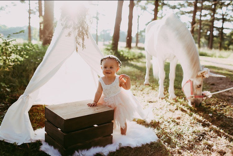A Flower Girl and A Horse in Background